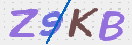キャプチャ画像
