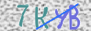 キャプチャ画像