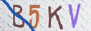 キャプチャ画像