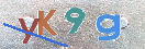 キャプチャ画像