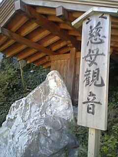 20070313