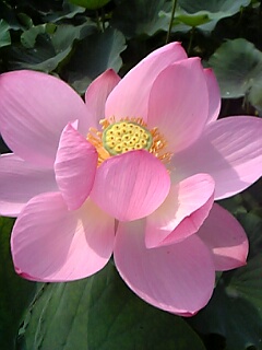 20070710