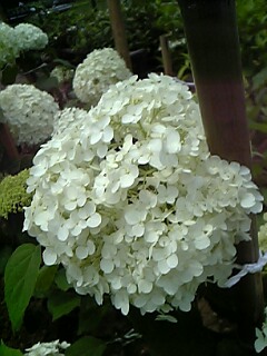 20080710