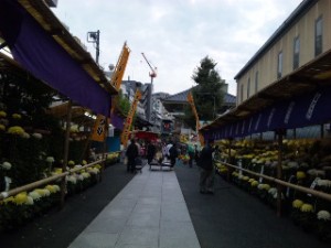 江戸地蔵尊菊祭り