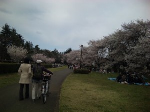 後ろ姿と桜