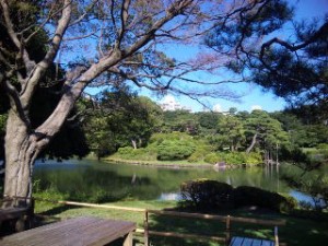 六義園の池