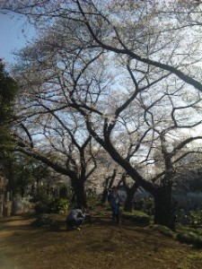 ベンチからの風景