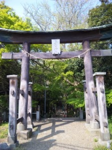 二宮神社鳥居